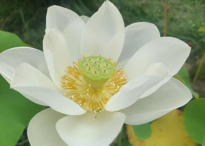 Fantasia فندق مبيت وإفطار 3*