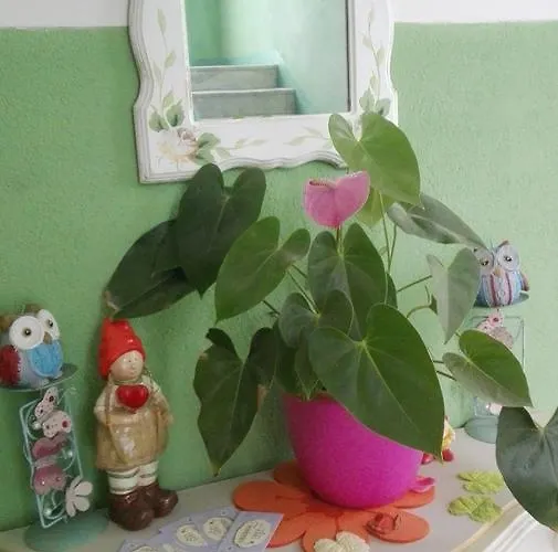 Fantasia 3* لوانو